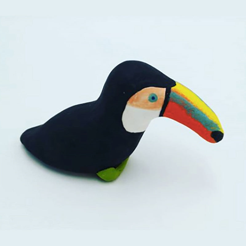 Toucan - That Ikigai Project